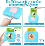 Tarjetas de Aprendizaje Didácticas